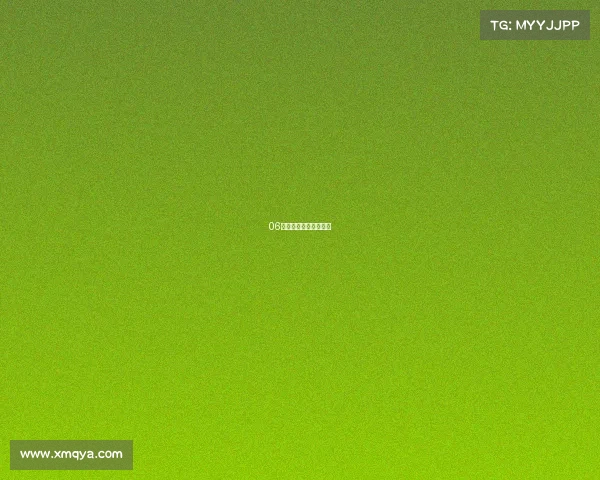 06老马六更换牌照灯作业